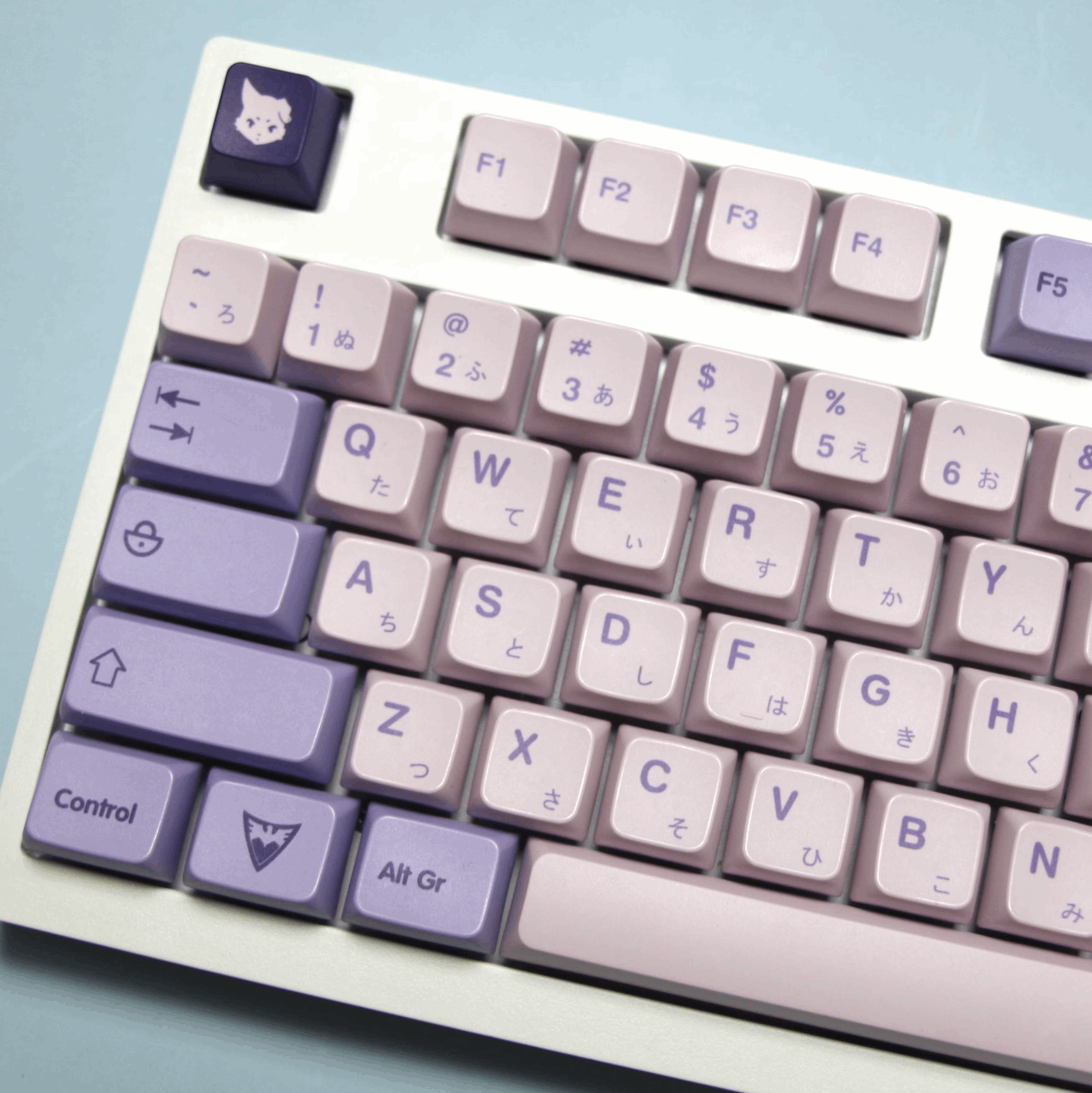 Emilia the Witch Dye-Sub PBT Keycaps | 141 keys | MDA Profile | JP EN | ANSI | Keycaps only