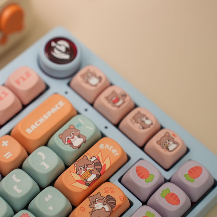 Little Raccoon Keycap Set